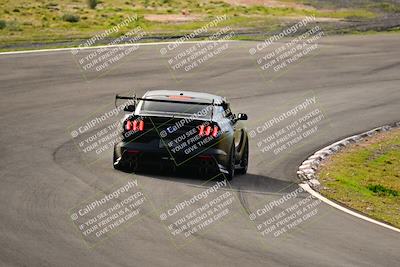 media/Feb-25-2024-Speed Ventures (Sun) [[b9a2a97a4d]]/Mustang Drivers Club/Session 1 (Turns 4 and 5)/